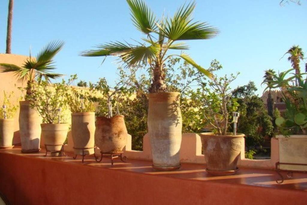 Emplacement N°1 ! Riad Ica Villa Marrakesh Esterno foto